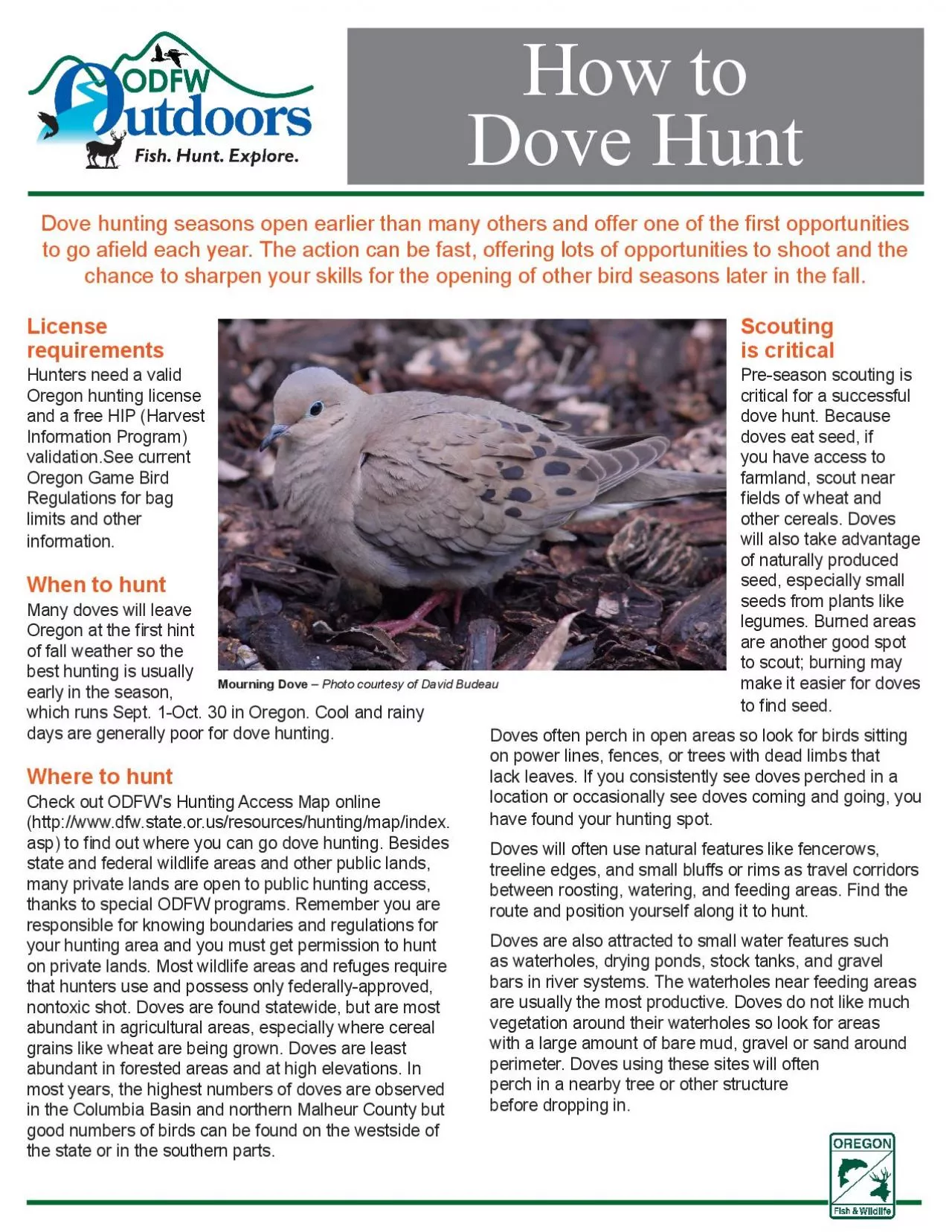 PDF-Dove hunting seasons open earlier than many others and offer one of th