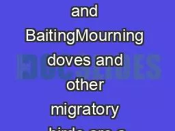 Dove Hunting and BaitingMourning doves and other migratory birds are a