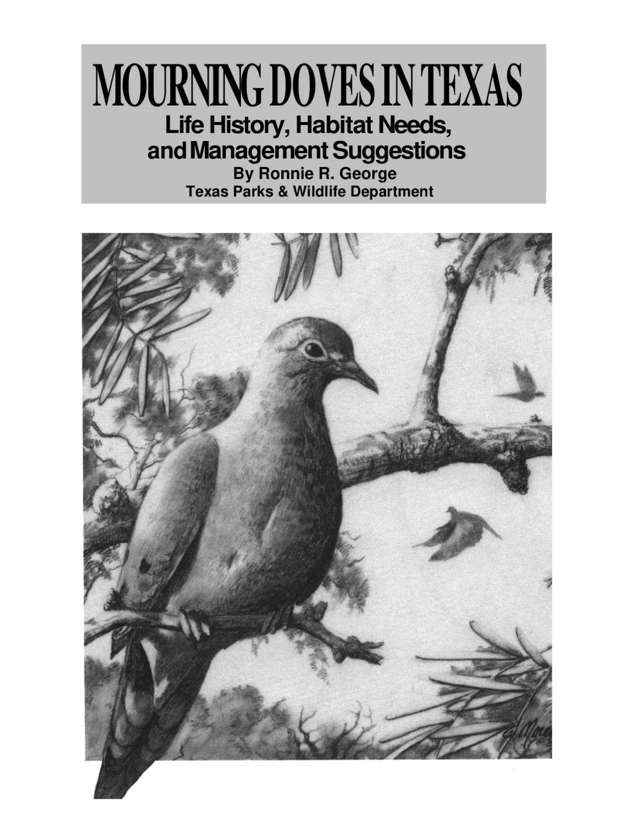 PDF-G DOVES IN TEXASMOURNINRonnieR.GeorgeTexas Parks & Wildlife Department