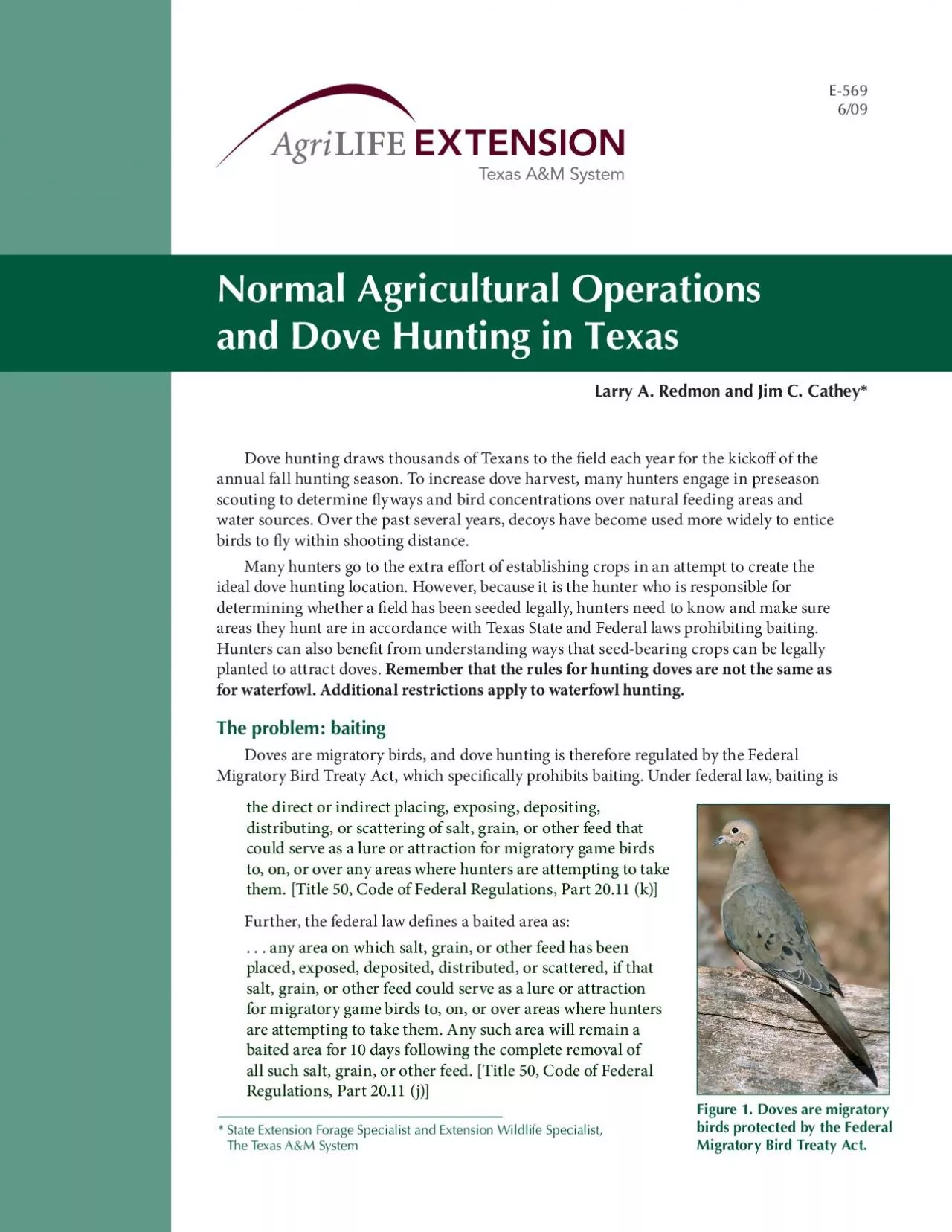 PDF-Dove hunting draws thousands of Texans to the eld each year for t