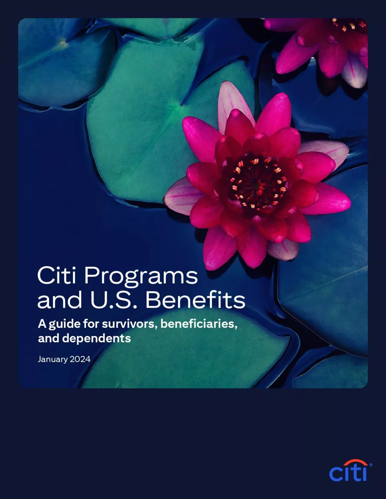 PDF-Citi Programs