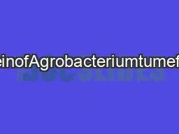 Vol.172,No.2TheVirAProteinofAgrobacteriumtumefaciensIsAutophosphorylat