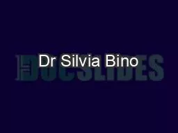 Dr Silvia Bino