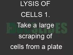 BOILING LYSIS OF CELLS 1. Take a large scraping of cells from a plate