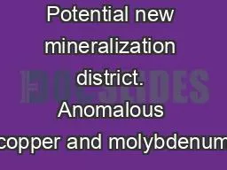 Potential new mineralization district. Anomalous copper and molybdenum