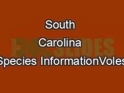 South Carolina Species InformationVoles