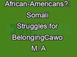 The Newest African-Americans?: Somali Struggles for BelongingCawo M. A