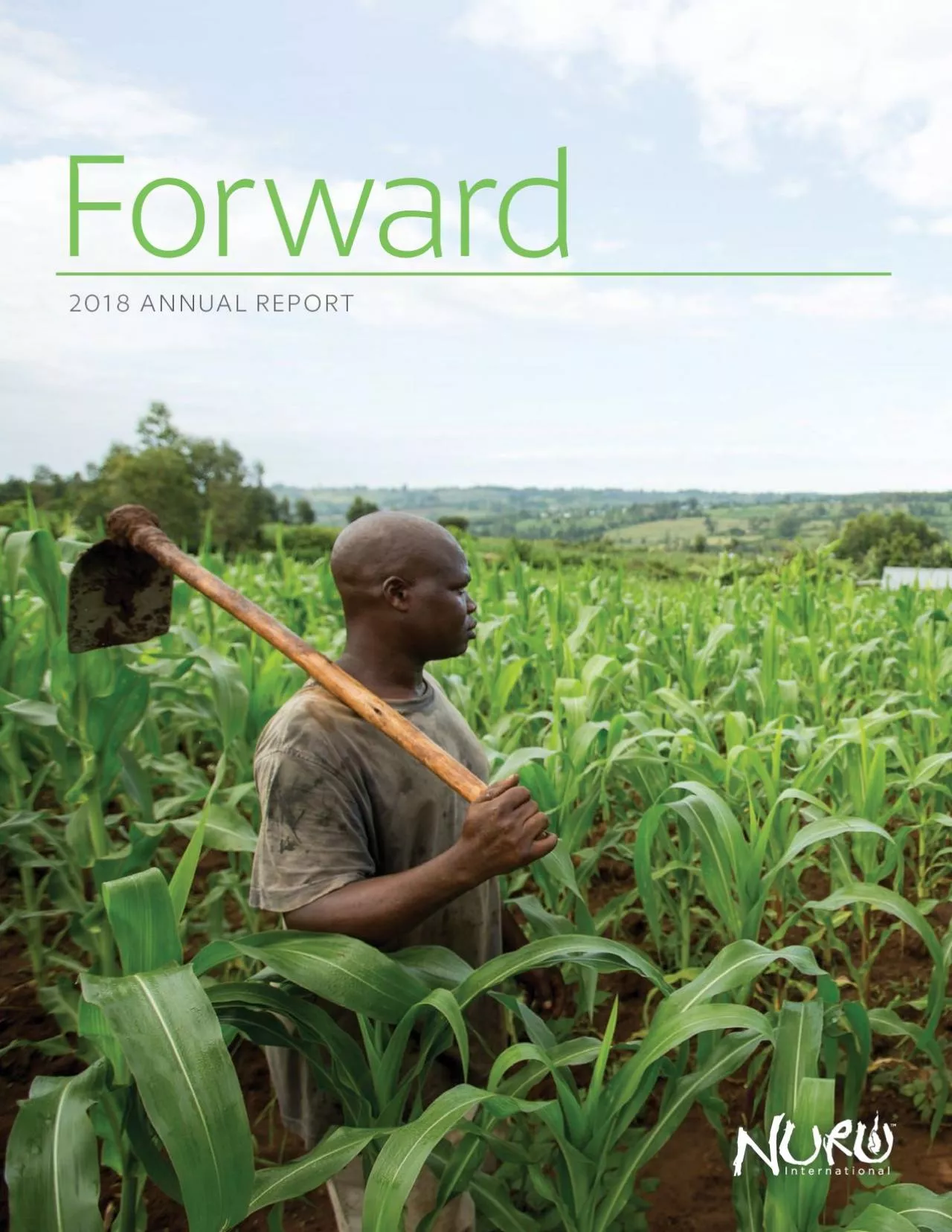 PDF-2018 ANNUAL REPORT