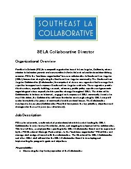 SELA Collaborative Director   Organizational Overview  Families In Sch