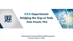Bridging the Gap at Yeda