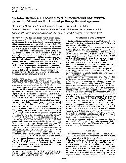 Proc.Natl.Acad.Sci.USAVol.93,pp.4380-4385,April1996GeneticsMutatortRNA