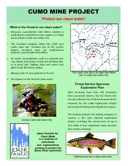 PDF-CUMO MINE PROJECT