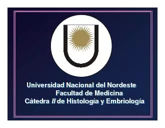 PDF-Universidad Nacional del NordesteFacultad de MedicinaCátedra IIde His