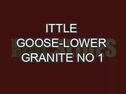 ITTLE GOOSE-LOWER GRANITE NO 1