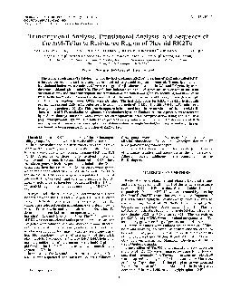 Vol.173,No.3TranscriptionalAnalysis,TranslationalAnalysis,andSequenceo