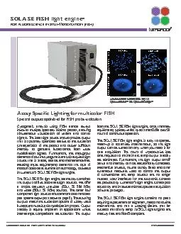 SOLA SE FISH light engine HYBRIDIZATION (FISH)>ppav Pmbcf�c