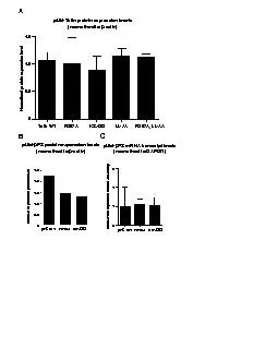 PDF-PS WT Relative-fold expression of mRNA transcriptpUbi-Talin protein ex