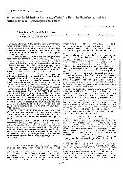 C L Chen and P Feigelsonin rat hepatocytes in vitro.Glucocorticoid ind