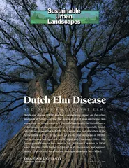 AND DISEASERESISTANT ELMS Dutch Elm Disease Dutch elm
