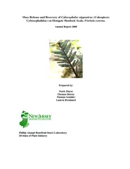 Mass Release and Recovery of Cybocephalus nipponicus on elongate hemlock scale fiorinia
