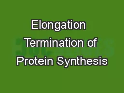 Elongation  Termination of Protein Synthesis