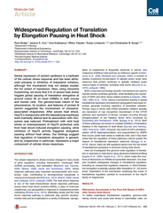 Molecular Cell Article Widespread Regulation of Transl