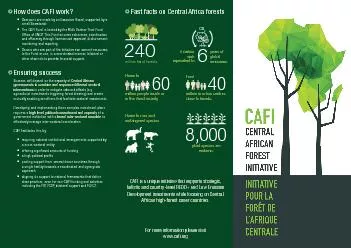 How does CAFI work?Decisions are made by an Executive Board, supported
