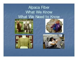 Alpaca Fiber What We KnowWhat We Need to Know
