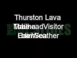 Thurston Lava Tube
TrailheadVisitor
Mauna Loa Weather
Cairn
H·lei Sea