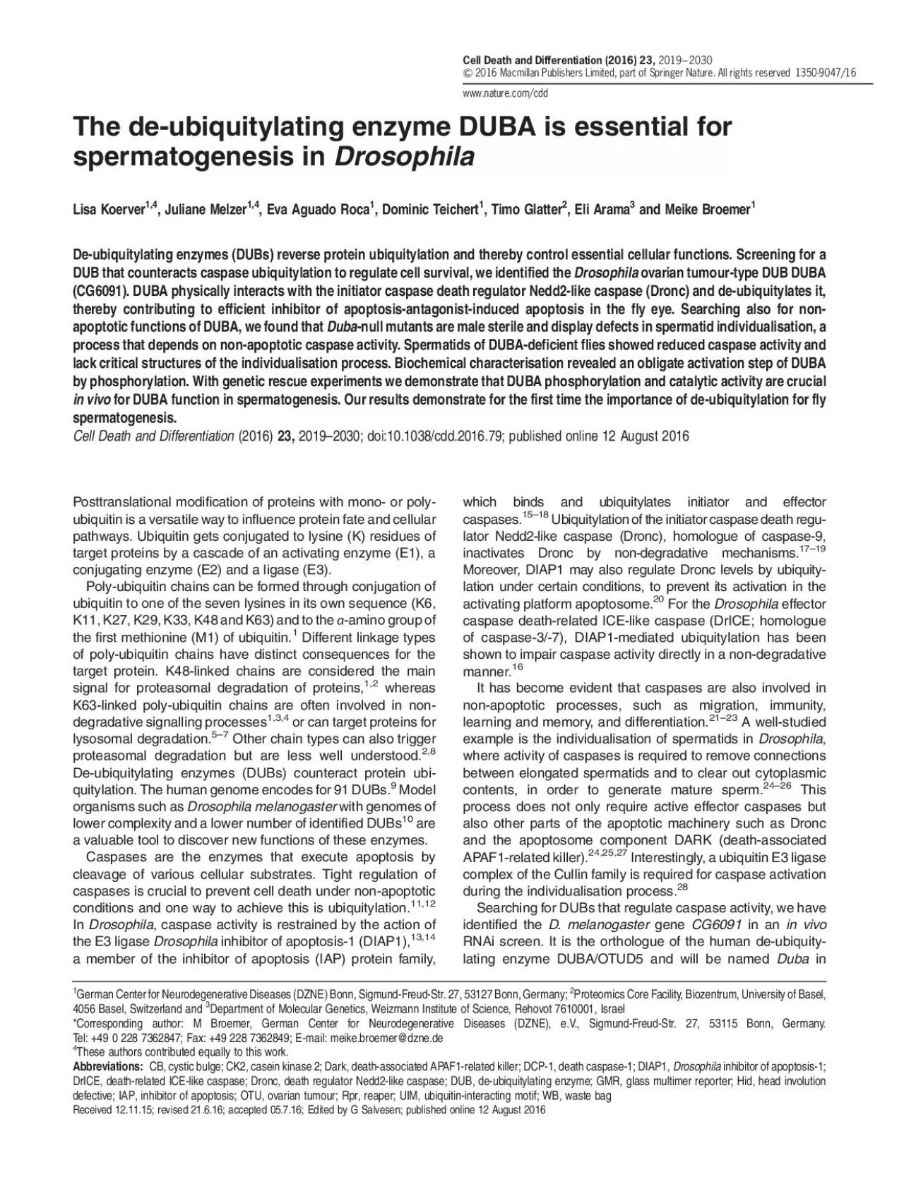 PDF-Thede-ubiquitylatingenzymeDUBAisessentialforspermatogenesisinDrosophil