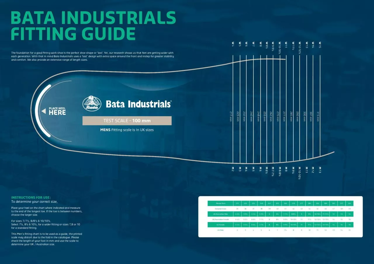 PDF-BATA INDUSTRIALS