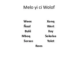 Meloyici Wolof WeexXonqÑuulWertBulëXayMboqSokolaaSoraasYoletRoos
...