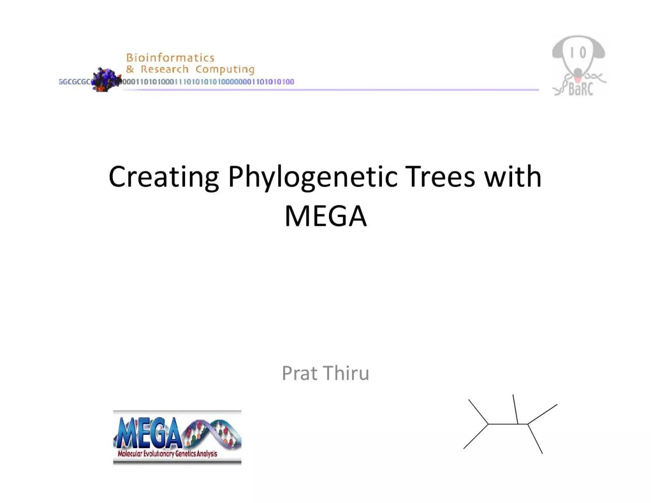 PDF-CreatingPhylogeneticTreesMEGAPratThiru