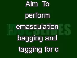 Aim  To perform emasculation bagging and tagging for c