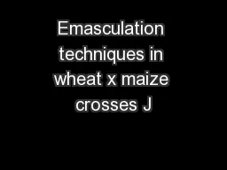 Emasculation techniques in wheat x maize crosses J