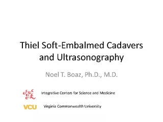 Thiel Soft Embalmed Cadavers and Ultrasonography Noel
