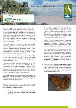 Cane Toad (Bufo marinus) Fact Sheet