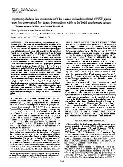 Proc.Nad.Acad.Sci.USAVol.88,pp.5592-55%,July1991BiochemistrySplicing-d