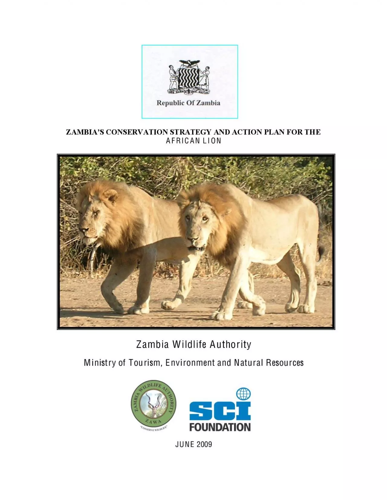 PDF-6.0 IMPLEMENTATION OF THE LION CONSERVATION STRATEGY ................