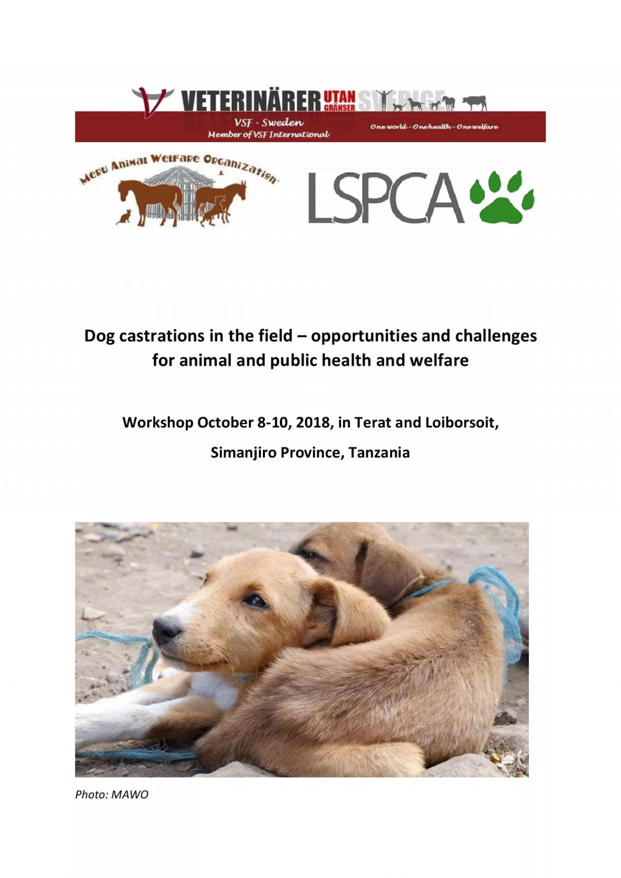 PDF-Dog castrations in the field