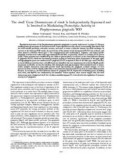 PDF-NFECTIONAND,Oct.2004,p.5555