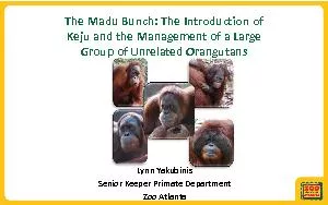 The Madu Bunch: The Introduction of