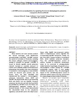 Fabian M. CommichauJohannes Gibhardt, Gregor Hoffmann, Asan Turdiev, M