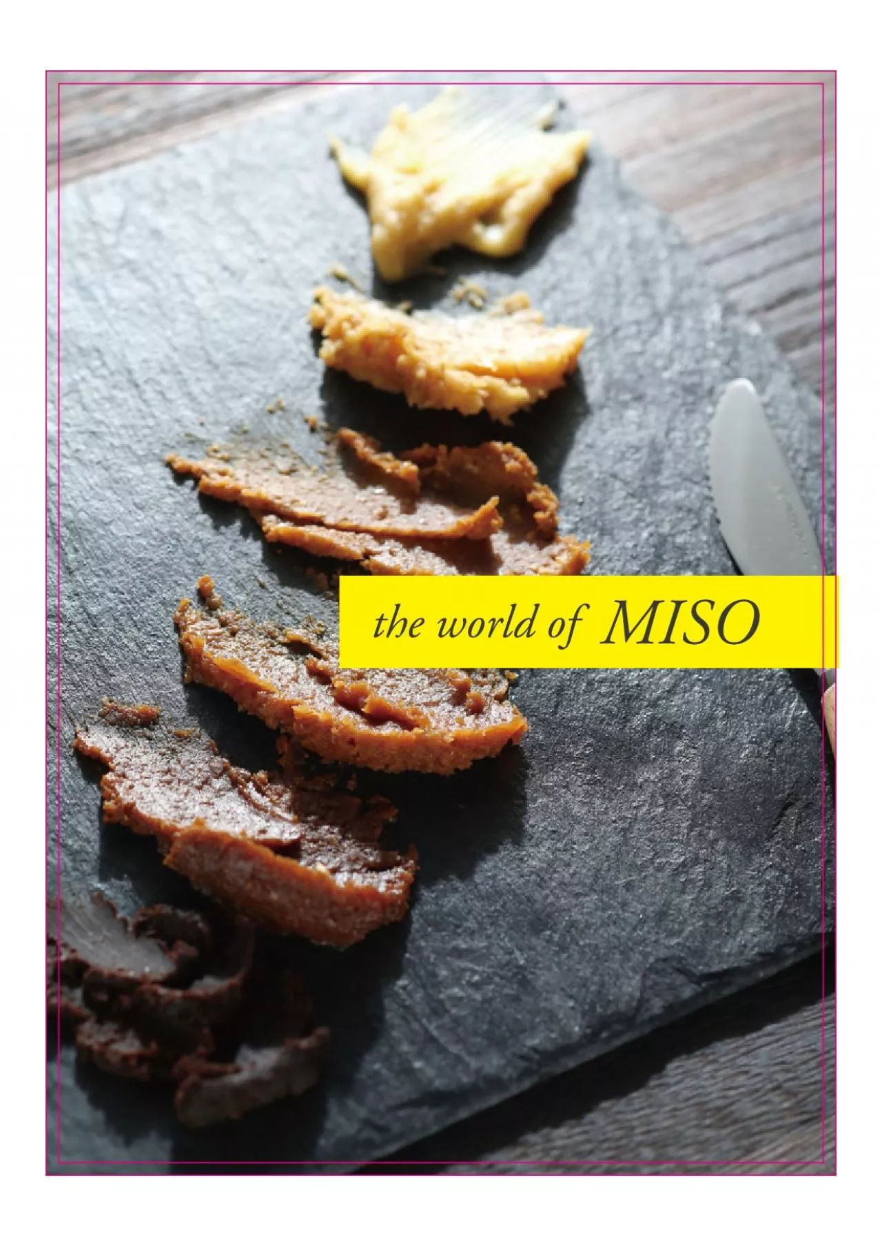 PDF-the world of MISO