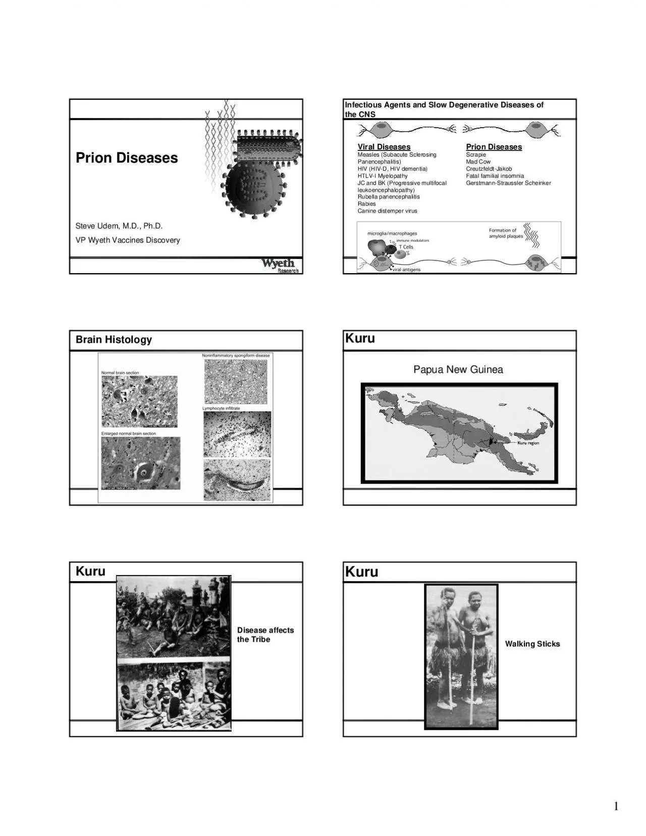 PDF-Infectious Agents and Slow Degenerative Diseases of the CNSViral Disea