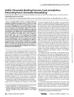 Sarah Kohler and Lisa Ann CirilloChromatin RemodelingStable Chromatin