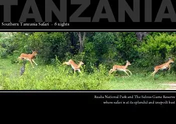 PDF-Southern Tanzania Safari