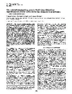 Proc.Nati.Acad.Sci.USAVol.91,pp.9990-9994,October1994PlantBiologyTheno