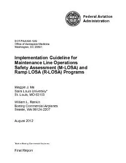 Implementation Guideline for Maintenance Line Operations Safety