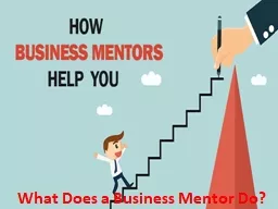 What Does a Business Mentor Do?
